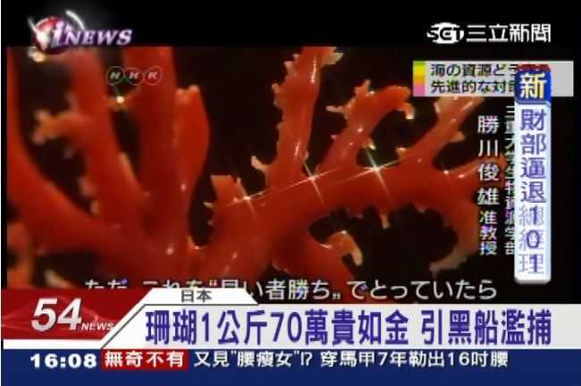 紅珊瑚賺很大　上百中國黑船赴日濫捕
