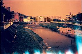 南崁溪-flickr-Blowing Puffer Fish
