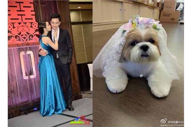 林依晨稱未婚夫我家哈尼：嬌喊很幸福