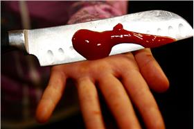 刀子(Steven Depolo)