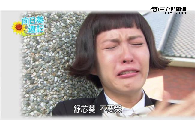 魏蔓卯起來哭　粉絲跪求：別再放洋蔥