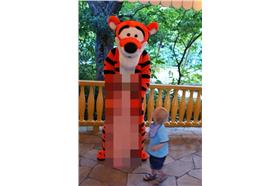 tigger(travelblog)
