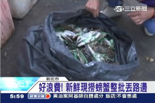 好浪費！新鮮現撈螃蟹整批丟路邊