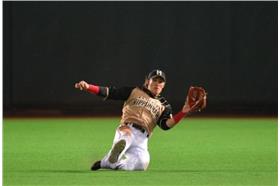 陽岱鋼（翻攝自日本火腿鬥士臉書）