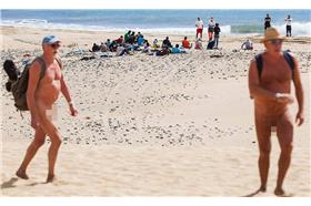 天體營_取自《鏡報》