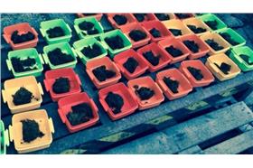 大便快遞/翻攝自《GEEK》