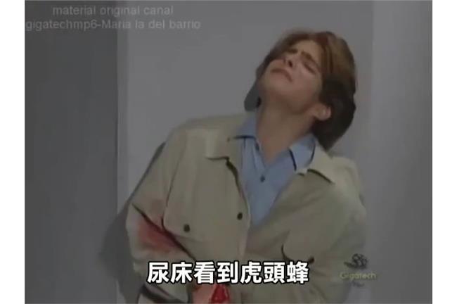 這次換甲仙橄欖！墨版世間情美鳳來了