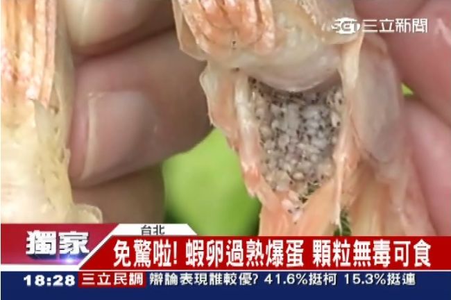 網購蝦肚黑點有毒？專家：蝦卵過熟