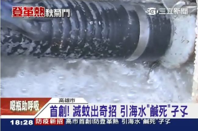 海水真能滅孑孓？專家批破壞生態