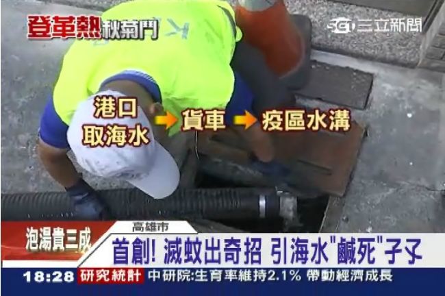 驗收海水殺蚊！200隻孑孓活3隻