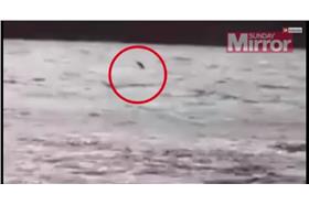 尼斯湖水怪/翻攝自YouTube