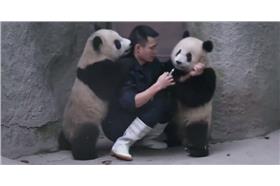 熊貓_BBC Türkçe臉書