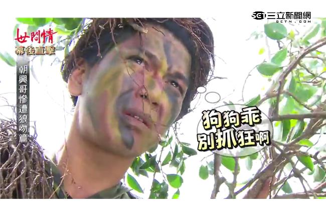 獨家直擊／世間情驚現野生靈芝草人？
