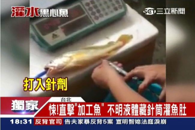 黑心魚販偷斤增兩　疑保鮮劑灌進魚肚