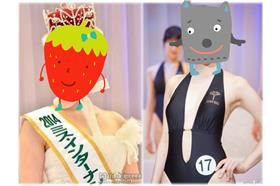 2014日本國際小姐／微博