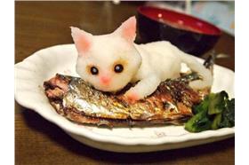 茂呂美耶-蘿蔔泥貓(名家)