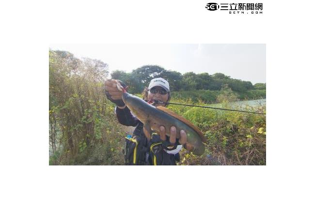 魚虎魔王現身！沈文程大呼不可思議