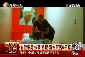 奢華寵物飯店1700