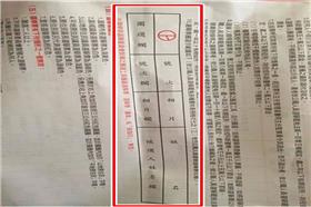 投票單(網路照片)