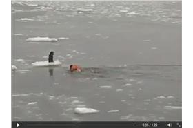 男子救流浪狗／臉書