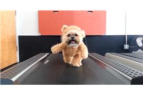 狗熊麻吉_KNIX Country 102.5臉書