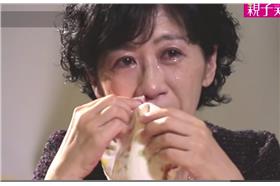 陳佩琪哭-youtube