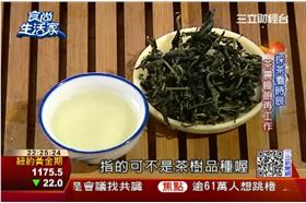 食尚生活家：坪林茶飄香　喝茶、吃茶、玩茶趣 | 食尚生活家 | 三立財經台CH88 