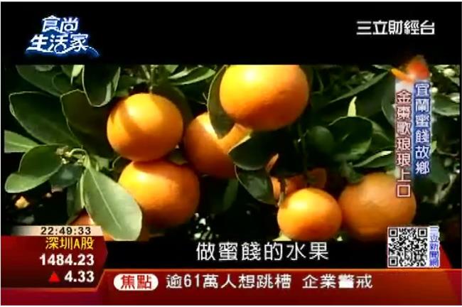 宜蘭蜜餞故鄉　加工轉型商品化