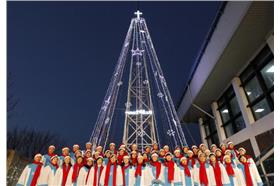 聖誕樹/翻攝自英國《都市報》