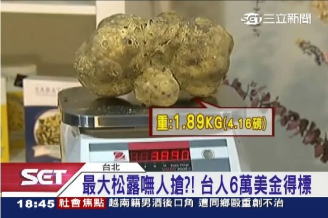 市價千萬！台灣人6萬美金買最大松露