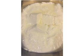 林鳳營優酪乳（網友提供）