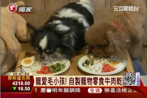 藝人羅瑤創業!砸500萬開寵物旅館|三立財經台CH88
