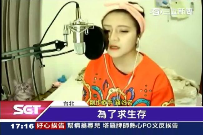 台東人騎豬上學？正妹寫歌諷天龍人
