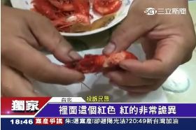 海紅蝦真假1800