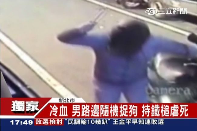 男子因心情不好　隨機抓狗持榔頭虐死