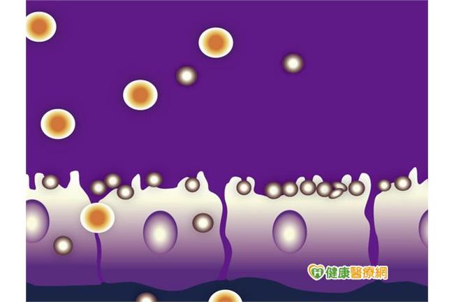 下面這4個原因　都可能是腸漏症幫兇