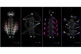 101煙火併圖_youtube