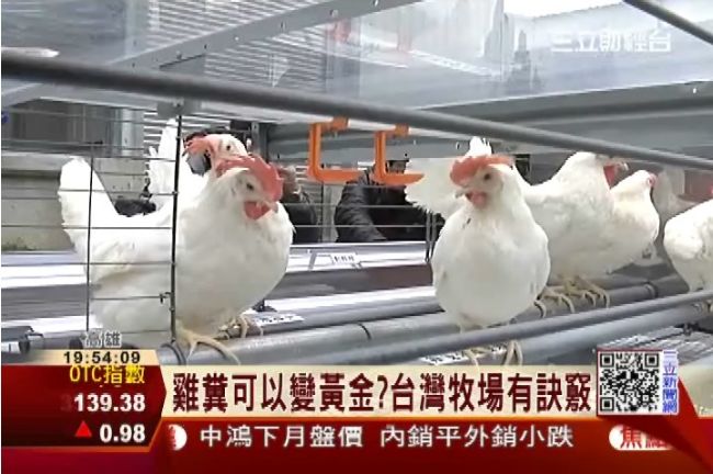 雞糞也能發電！綠能牧場賣電賺外快