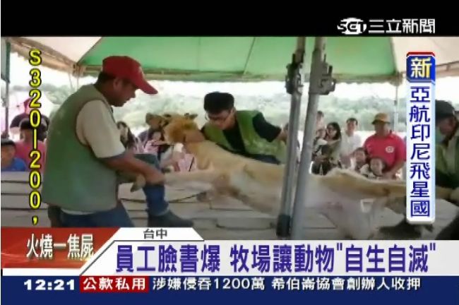 前員工爆料：天馬牧場讓動物自生自滅
