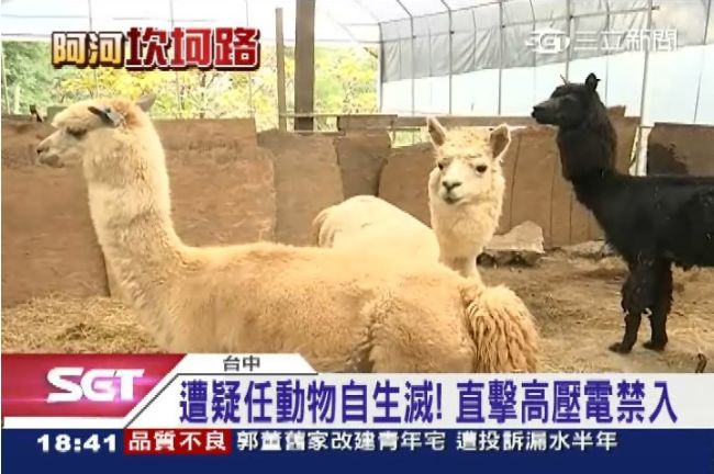 放任動物自生自滅？業者：是怕傳染！
