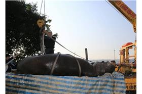 河馬阿河／取自林佳龍臉書