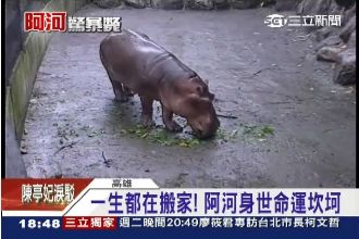 阿河一生都在搬家　始終沒遇到好主人