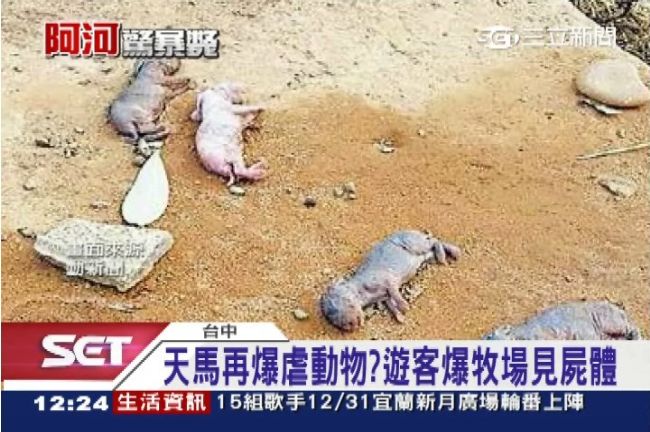 遊客見動物屍體　天馬：不是我們養的