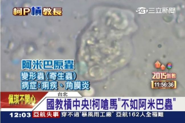 柯P詞窮？又用「阿米巴」電國民黨