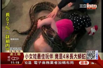 蟒蛇當保母？　女嬰與巨蟒玩在一起