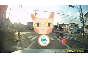 貓咪與老奶奶／youtube