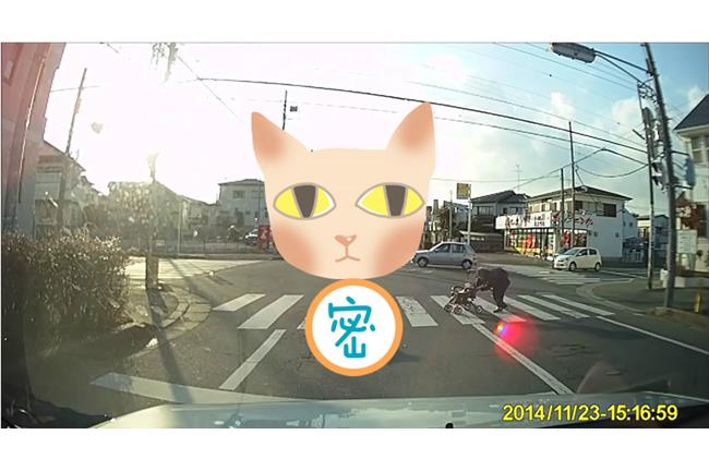影／「我等你！」小貓導護奶奶過馬路