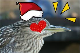 夜鷺ps版_原圖攝影Calibas（C.C.License）