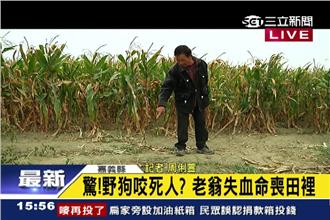 9旬老翁右腿傷可見骨　疑遭野狗咬死　