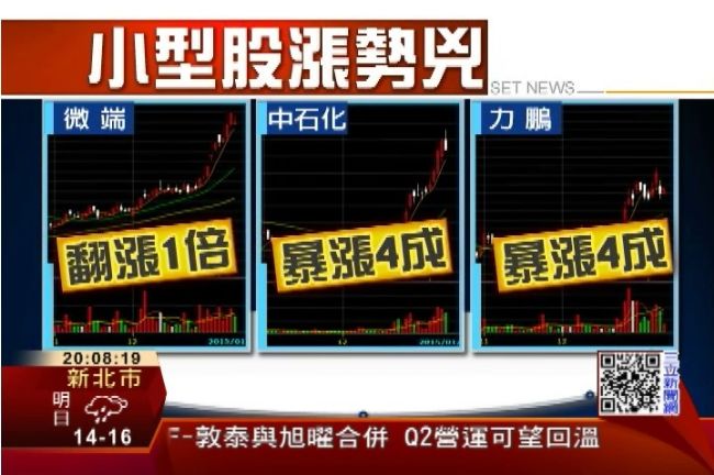主力認養小型股　專家：當心養套殺